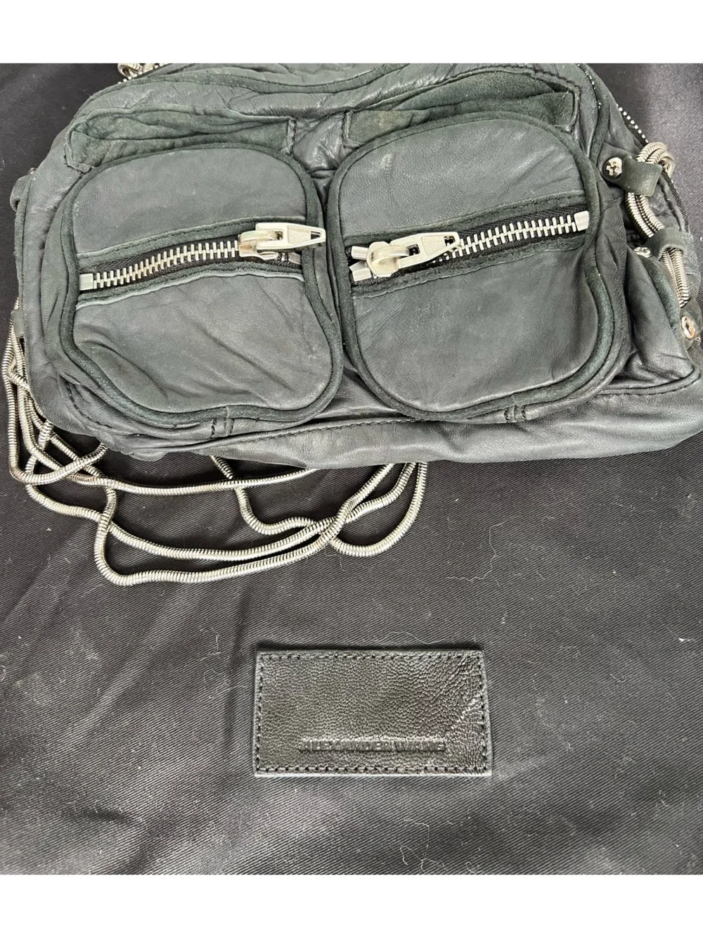 Alexander Wang famous brenda